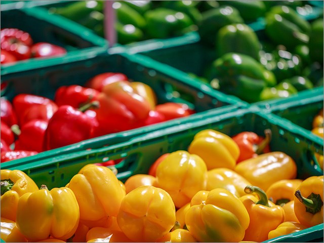 Macchina per Confezionamento ISHIDA-TRAY