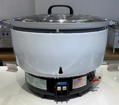 Macchina per Cuociriso RINNAI-RR100GS