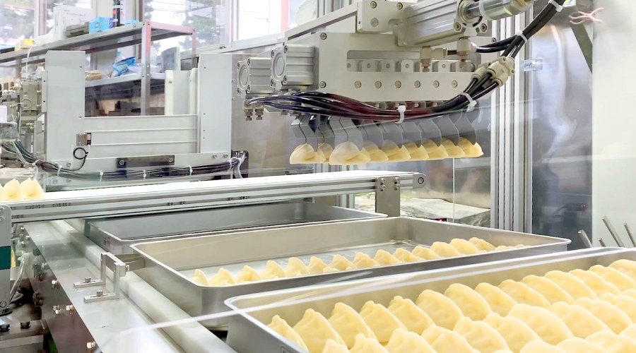Robot di Allineamento Automatico Toa Industry AL-R per Linee Gyoza (Automated Loader)