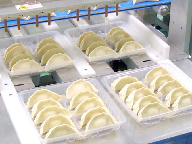Robot di Allineamento Automatico Toa Industry AL-R per Linee Gyoza (Automated Loader)