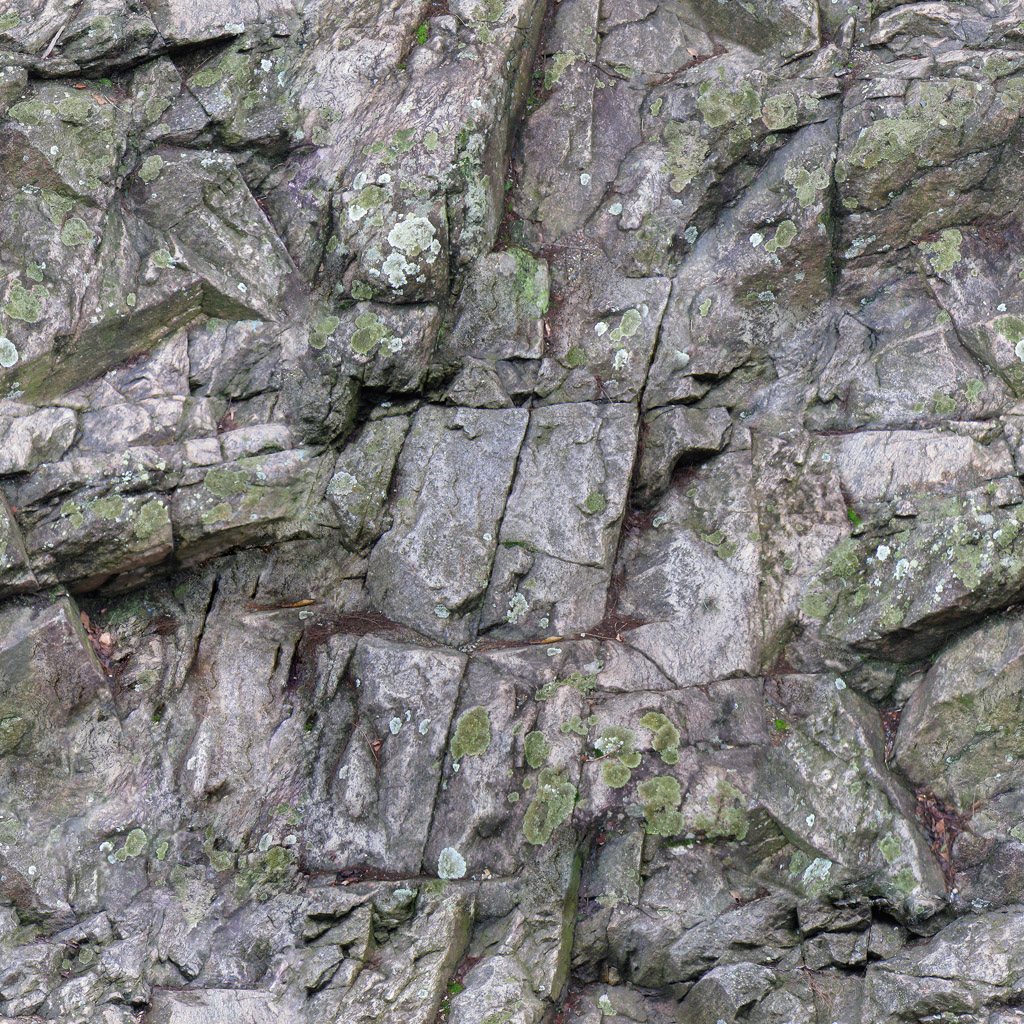 Texture pietra muschio